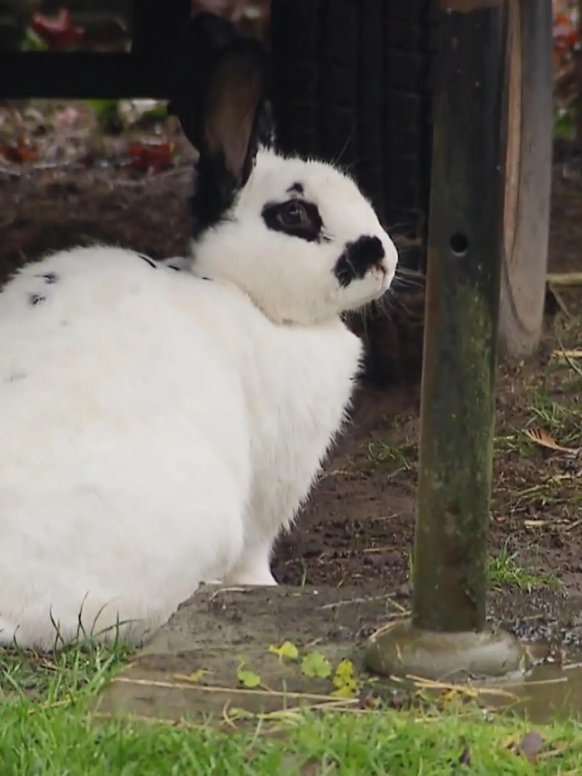 Bild zu: "Online-Futter im Check"