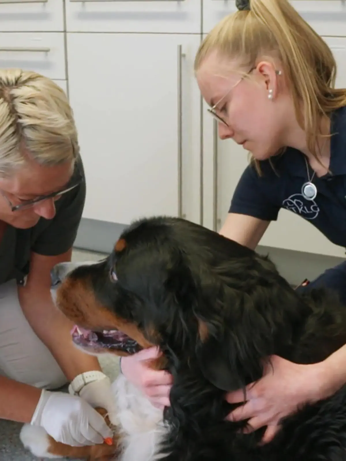 Bild zu: "B wie Blutabnahme"