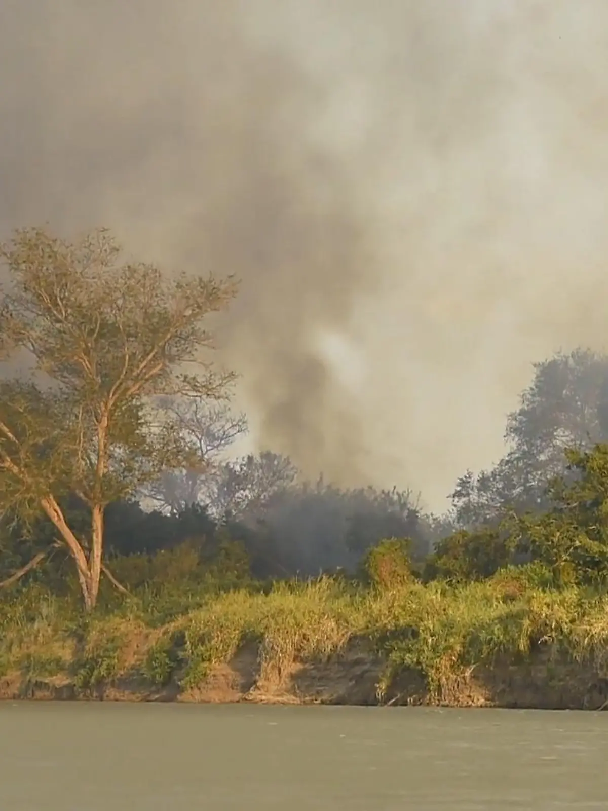 Bild zu: "Jenny Kotter in Todesangst"
