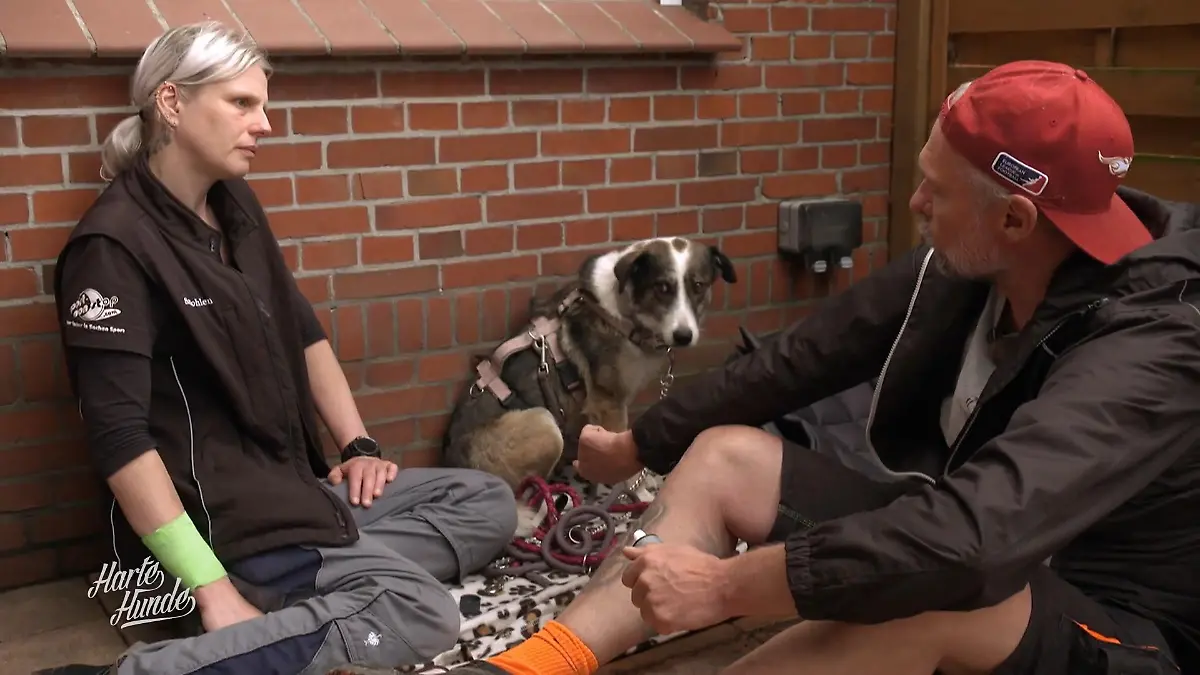 Moni hat panische Angst vor Menschen Der leise Kampf um Vertrauen