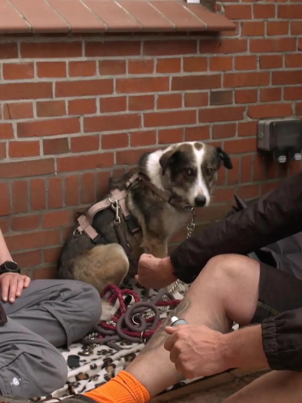 Bild zu: "Moni hat panische Angst vor Menschen"