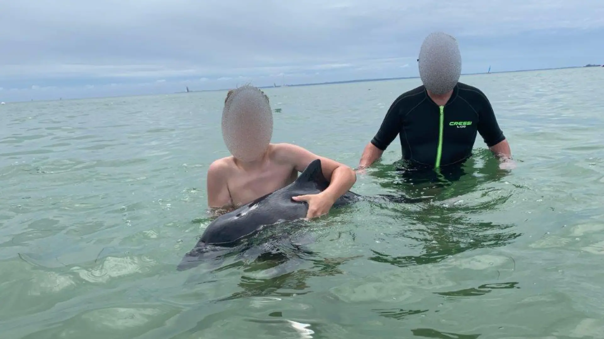HANDOUT - 09.07.2021, Schleswig-Holstein, Grömitz: Badegäste streicheln am Ostseestrand einen streng geschützten Schweinswal. Der kleine Schweiswal ist kurz darauf verendet. Er soll zuvor von mehreren Erwachsenen eingekesselt und festgehalten worden sein. Die Polizei ermittelt. (zu dpa: «Schweinswal vor Grömitz gestorben: Ermittlung wegen Massenstreichelns») Foto: -/Polizei Lübeck/dpa - ACHTUNG: Nur zur redaktionellen Verwendung im Zusammenhang mit der aktuellen Berichterstattung und nur mit vollständiger Nennung des vorstehenden Credits. +++ dpa-Bildfunk +++