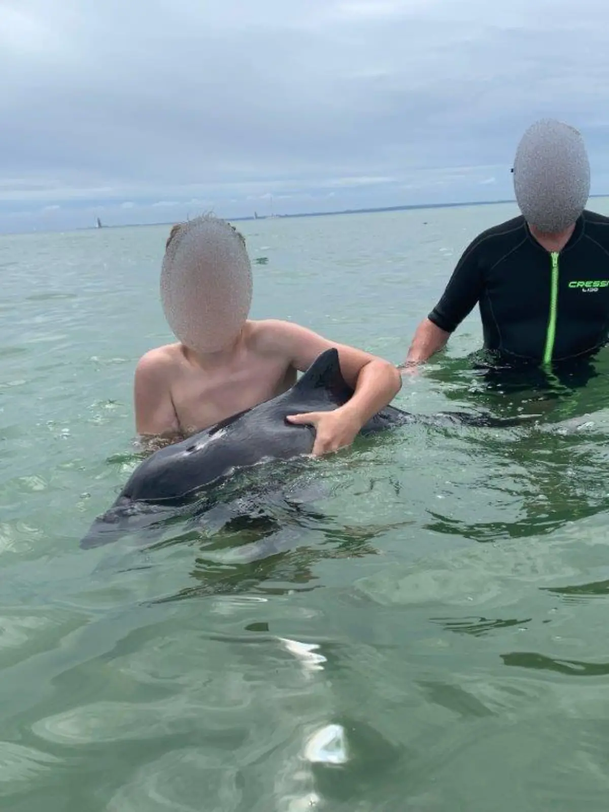 HANDOUT - 09.07.2021, Schleswig-Holstein, Grömitz: Badegäste streicheln am Ostseestrand einen streng geschützten Schweinswal. Der kleine Schweiswal ist kurz darauf verendet. Er soll zuvor von mehreren Erwachsenen eingekesselt und festgehalten worden sein. Die Polizei ermittelt. (zu dpa: «Schweinswal vor Grömitz gestorben: Ermittlung wegen Massenstreichelns») Foto: -/Polizei Lübeck/dpa - ACHTUNG: Nur zur redaktionellen Verwendung im Zusammenhang mit der aktuellen Berichterstattung und nur mit vollständiger Nennung des vorstehenden Credits. +++ dpa-Bildfunk +++