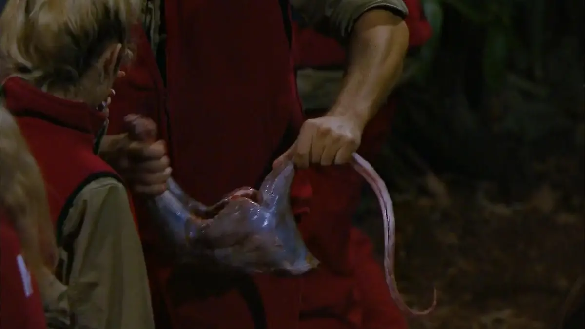 Dieses Fleisch verdirbt den Promis den Appetit Dschungelcamp 2026