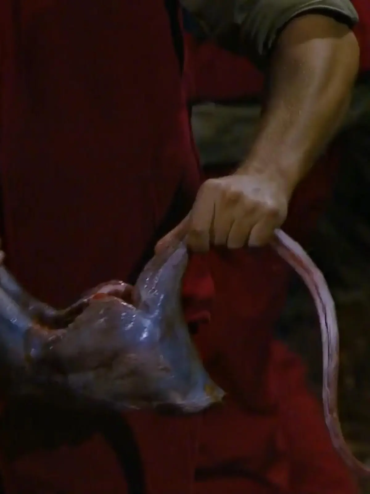 Bild zu: "Dieses Fleisch verdirbt den Promis den Appetit"