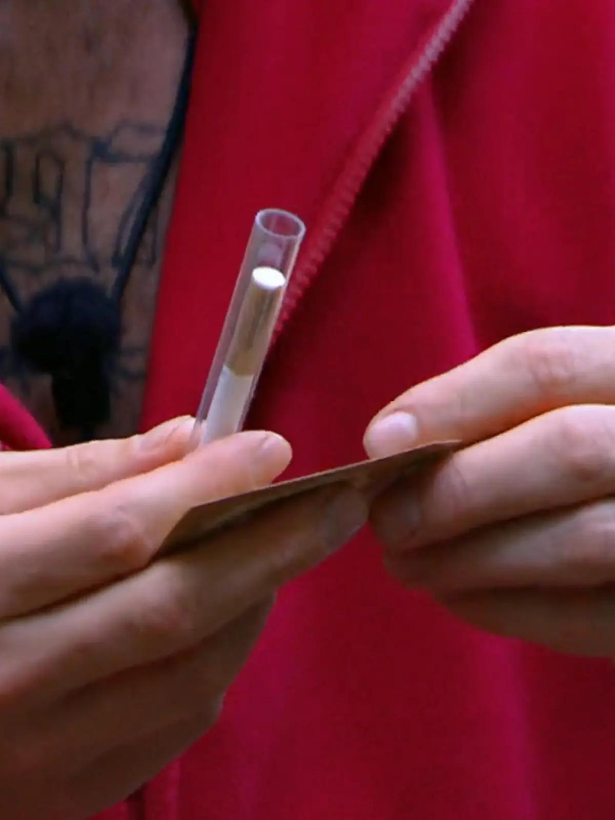 Bild zu: "Die Schatzsuche endet bitter – kein Joghurt, keine Chips, keine Schokolade"