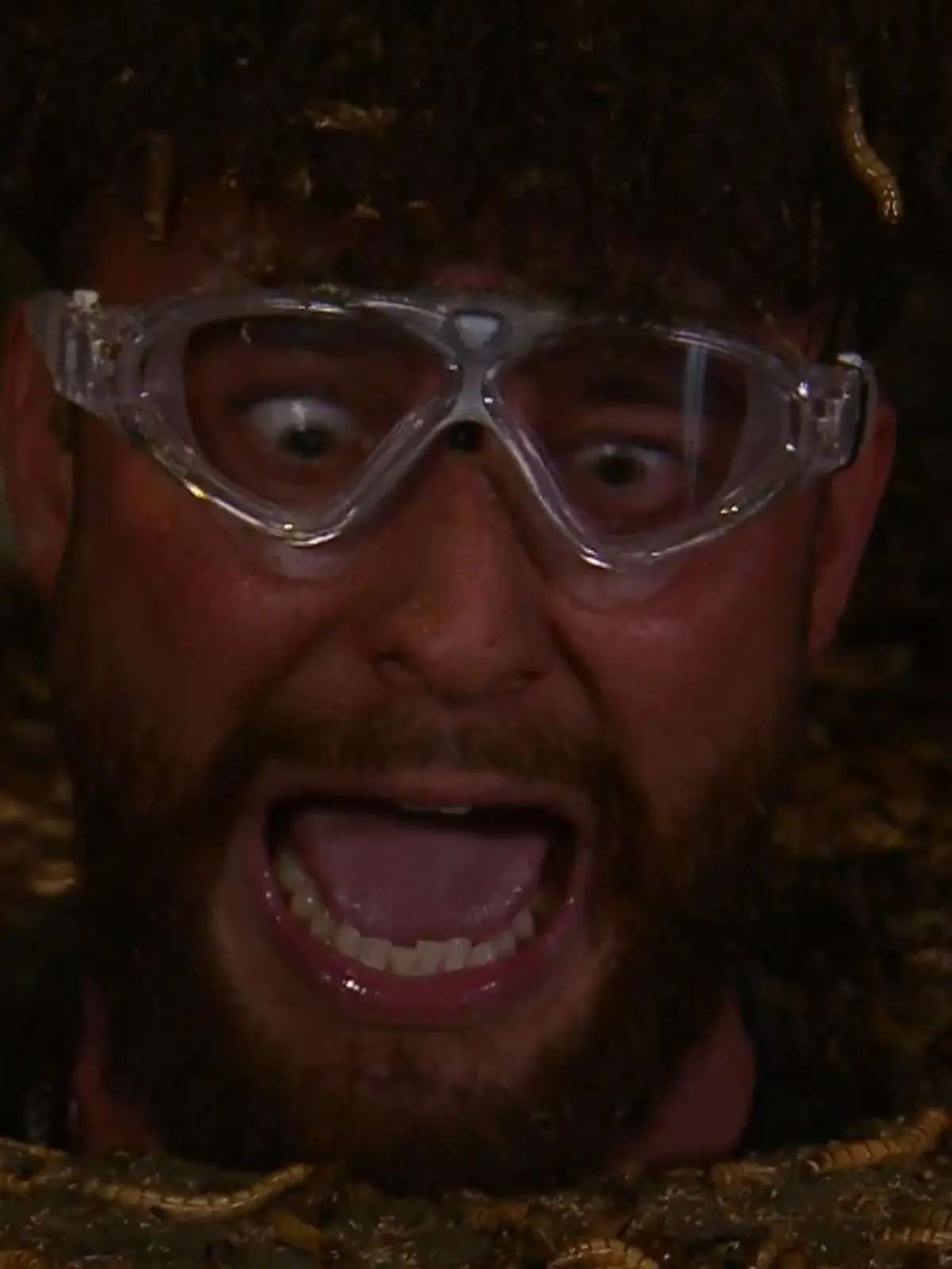 Bild zu: "„Fiebertraum!" Diese Prüfung bringt gleich sechs Dschungelcamper an ihre Grenzen"