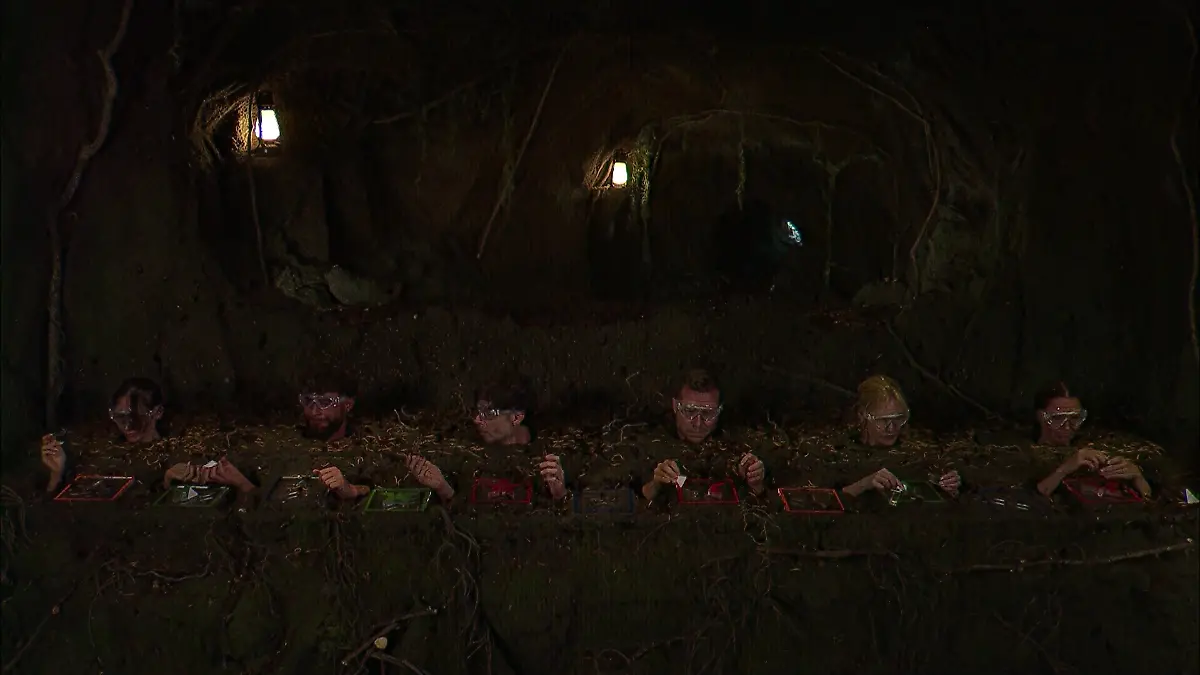 Dschungelprüfung Tag 9