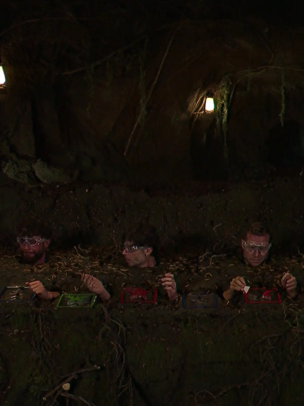 Dschungelprüfung Tag 9