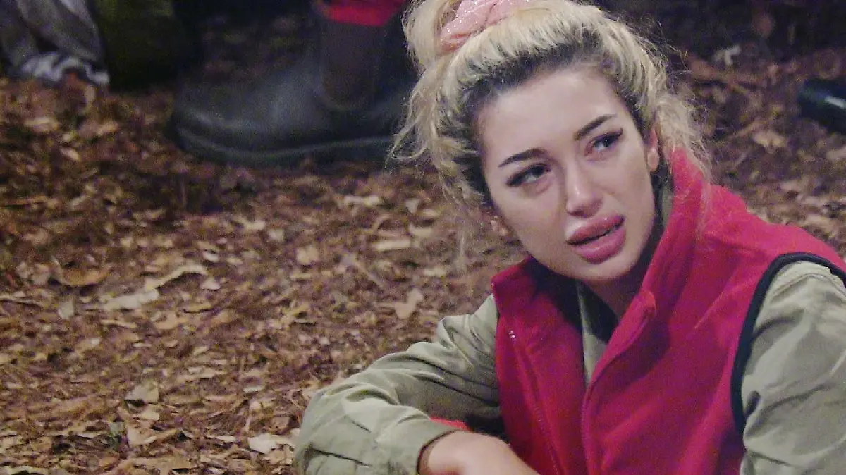 Bild zu: "„Die Erde ist flach, Leute!“ Ariel macht die Dschungelcamper sprachlos"