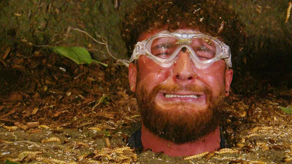 Da ist Ariel schon nicht in der Prüfung - und es wird trotzdem laut! Dschungelcamp 2026