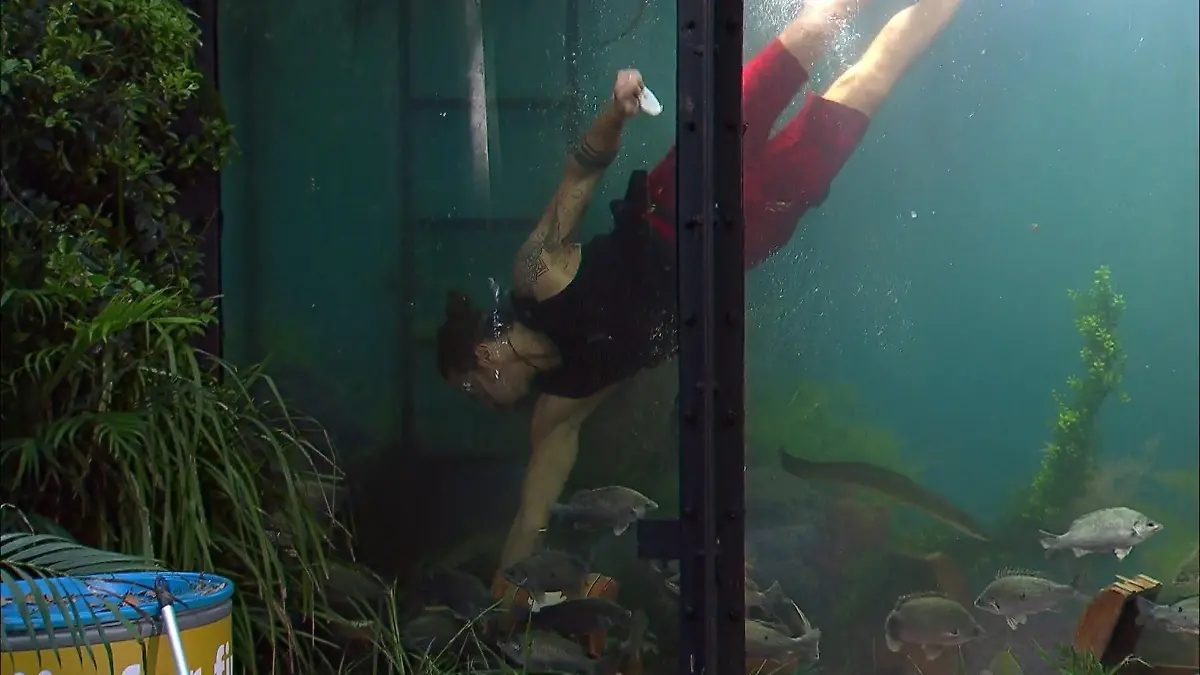 Hier GILt es, die Luft zu behalten! Stress oder Sterne im Dschungel-Argh!quarium? Exklusive Preview auf Tag 10