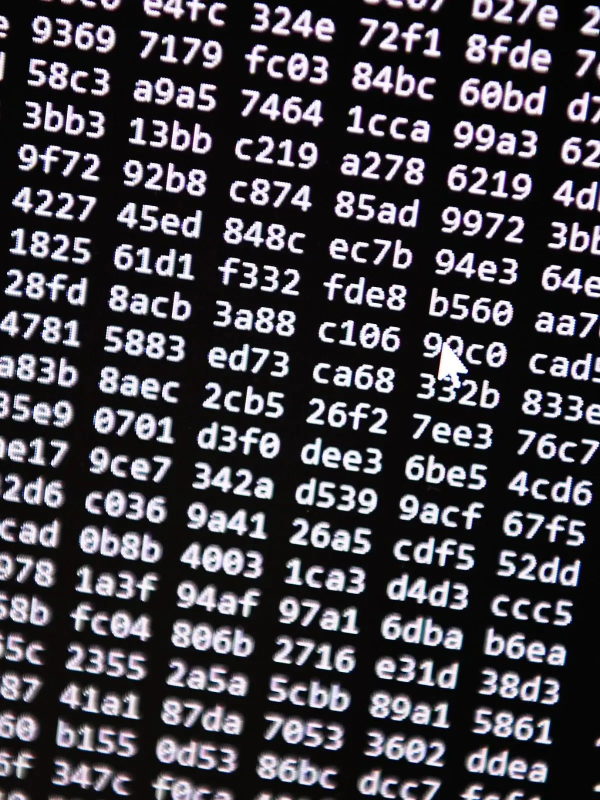 Bild zu: "Speicherpflicht für IP-Adressen"