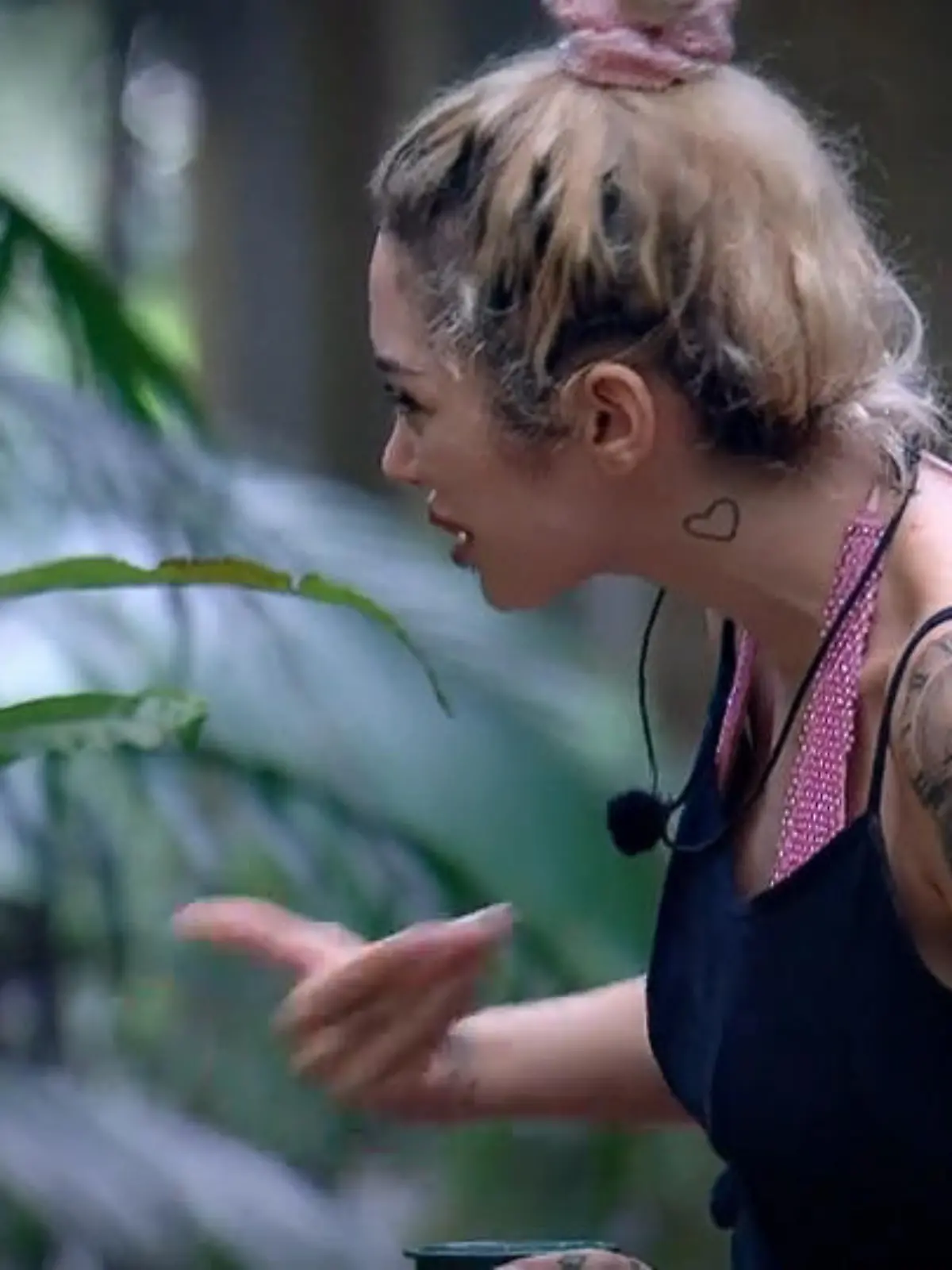 Bild zu: "Tag 10 im Dschungel: Dauerzoff mit Ariel, Eva im Flirtmodus, Gil im Wasser"