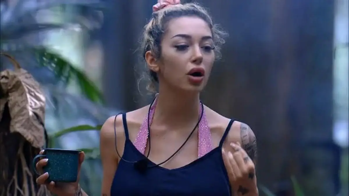 Ariel wittert Flirt – Patrick stellt klar: "Ich bin treu" Alle haben die Schnauze voll