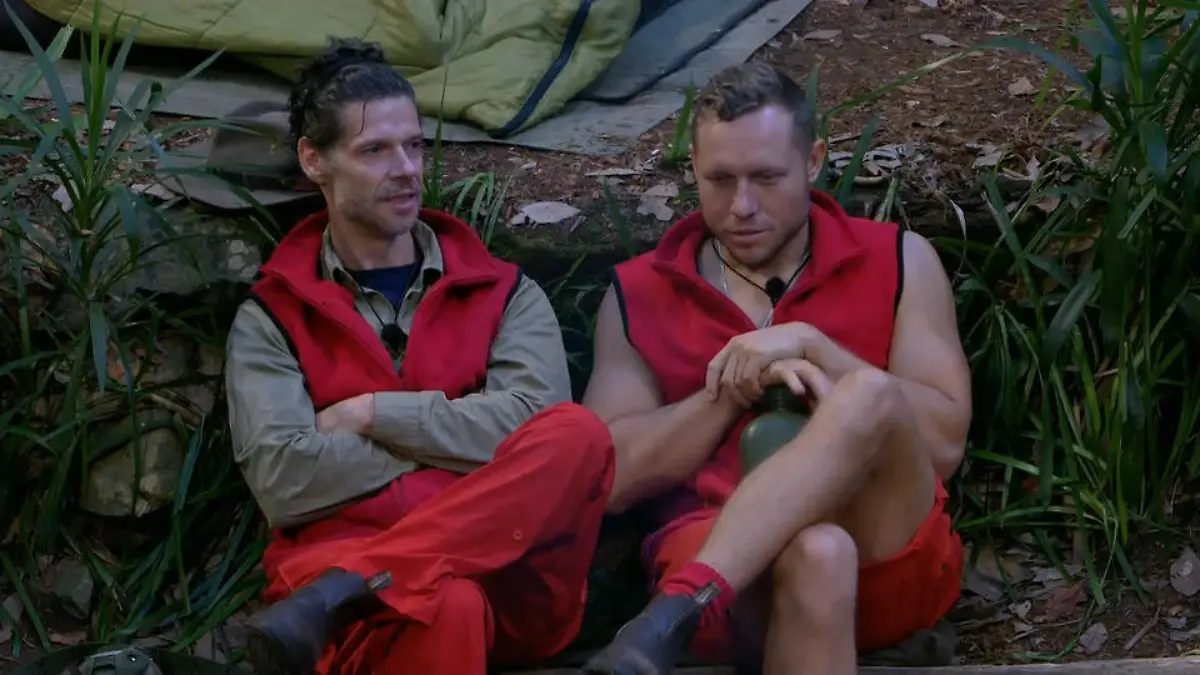 Stephen und Patrick sind sicher: Nur eine Entschuldigung rettet Gil Jetzt sag sorry!