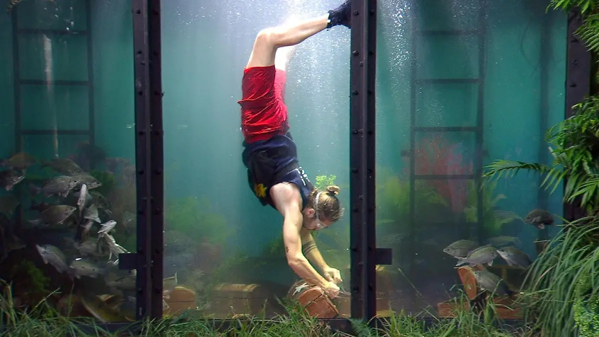 Gil liefert ab! Acht Sterne und die stärkste Prüfung bisher Gil Ofarim erkämpft acht von zehn Sternen