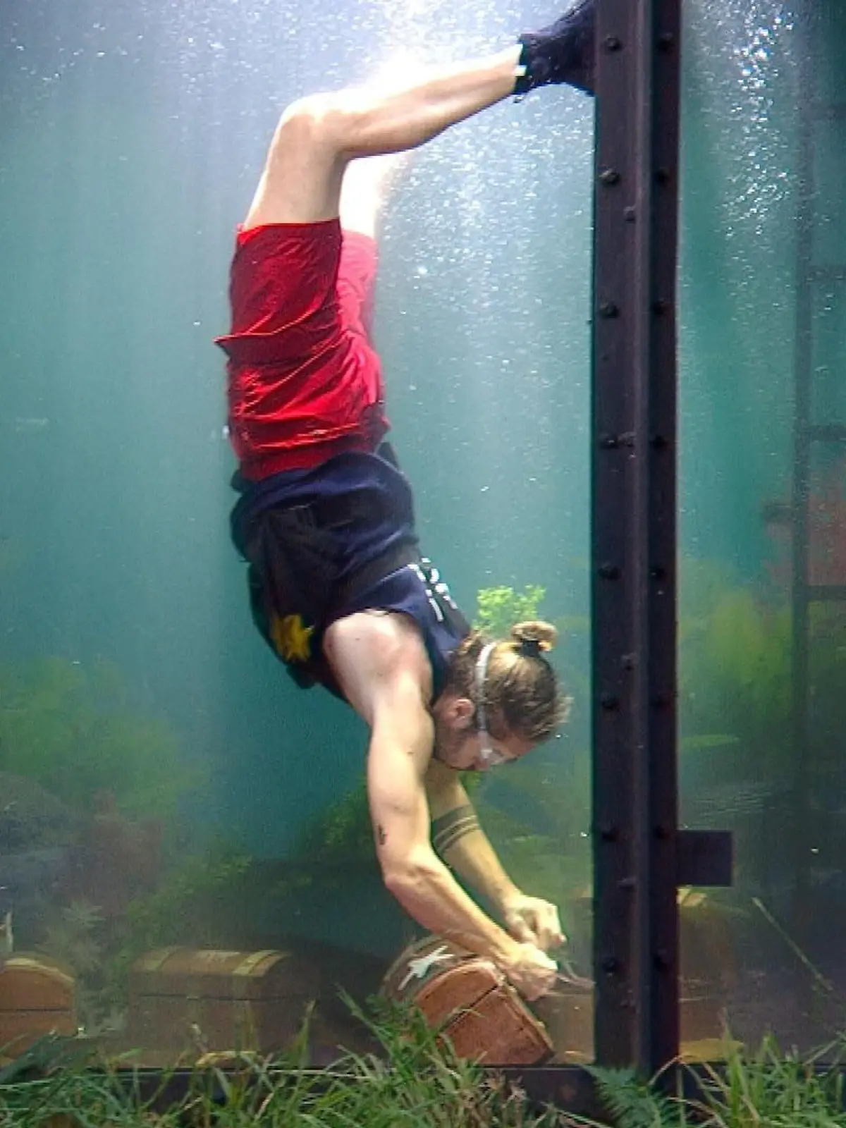 Bild zu: "Wer holt wie viel? Die Dschungelcamp-Stars auf Sternejagd!"