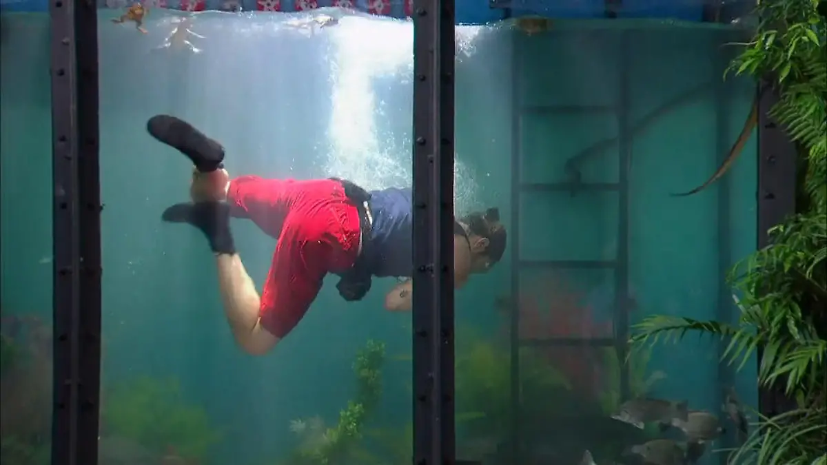 Gil liefert ab: 8 Sterne unter Wasser – Bestwert bisher! Rekord im Tank!