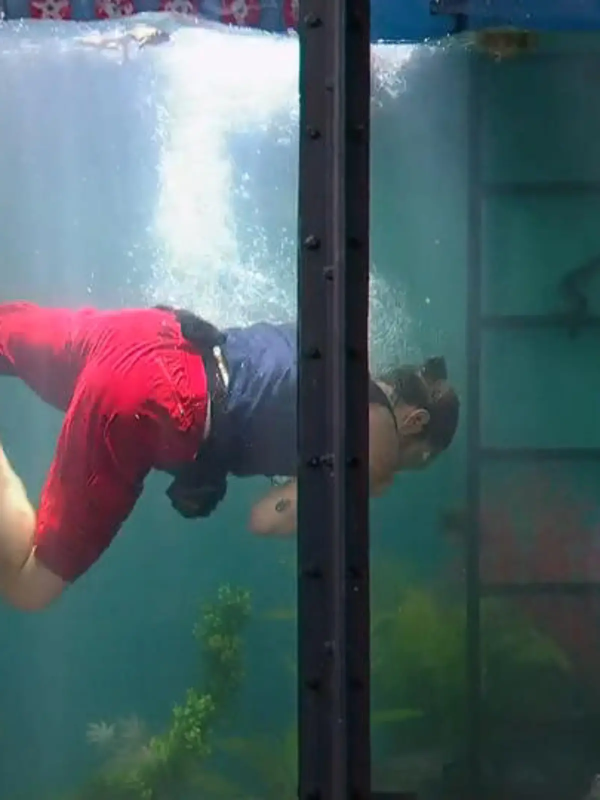 Bild zu: "Gil liefert ab: 8 Sterne unter Wasser – Bestwert bisher!"