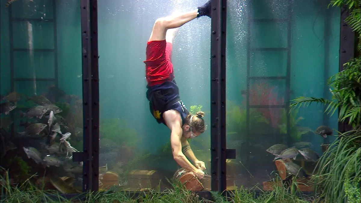 Dschungelcamp-2026-Gil-Ofarim-liefert-die-bisher-beste-Pr-fungsleistung-der-Staffel