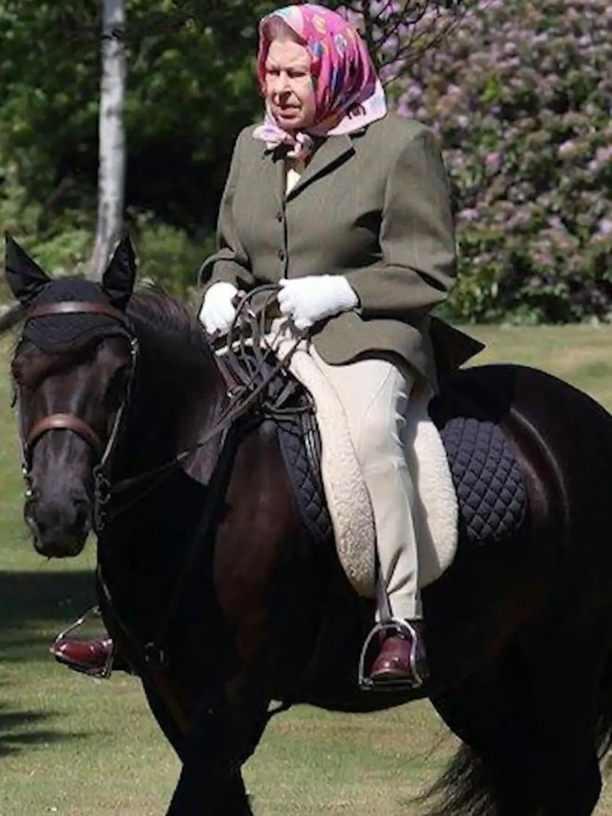 Bild zu: "So tierlieb war die Queen"