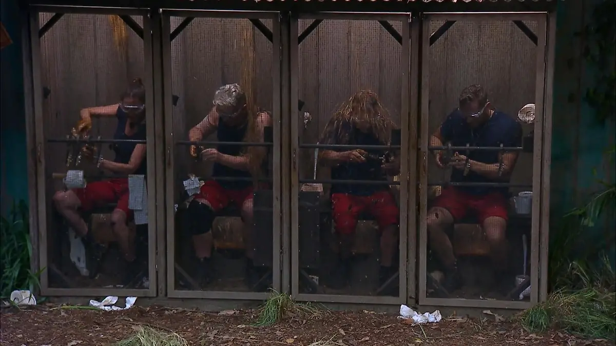 Von wegen stilles Örtchen! „Die OWEH! C-Promis" sind bei dieser Sitzung nicht alleine Dschungelcamp 2026