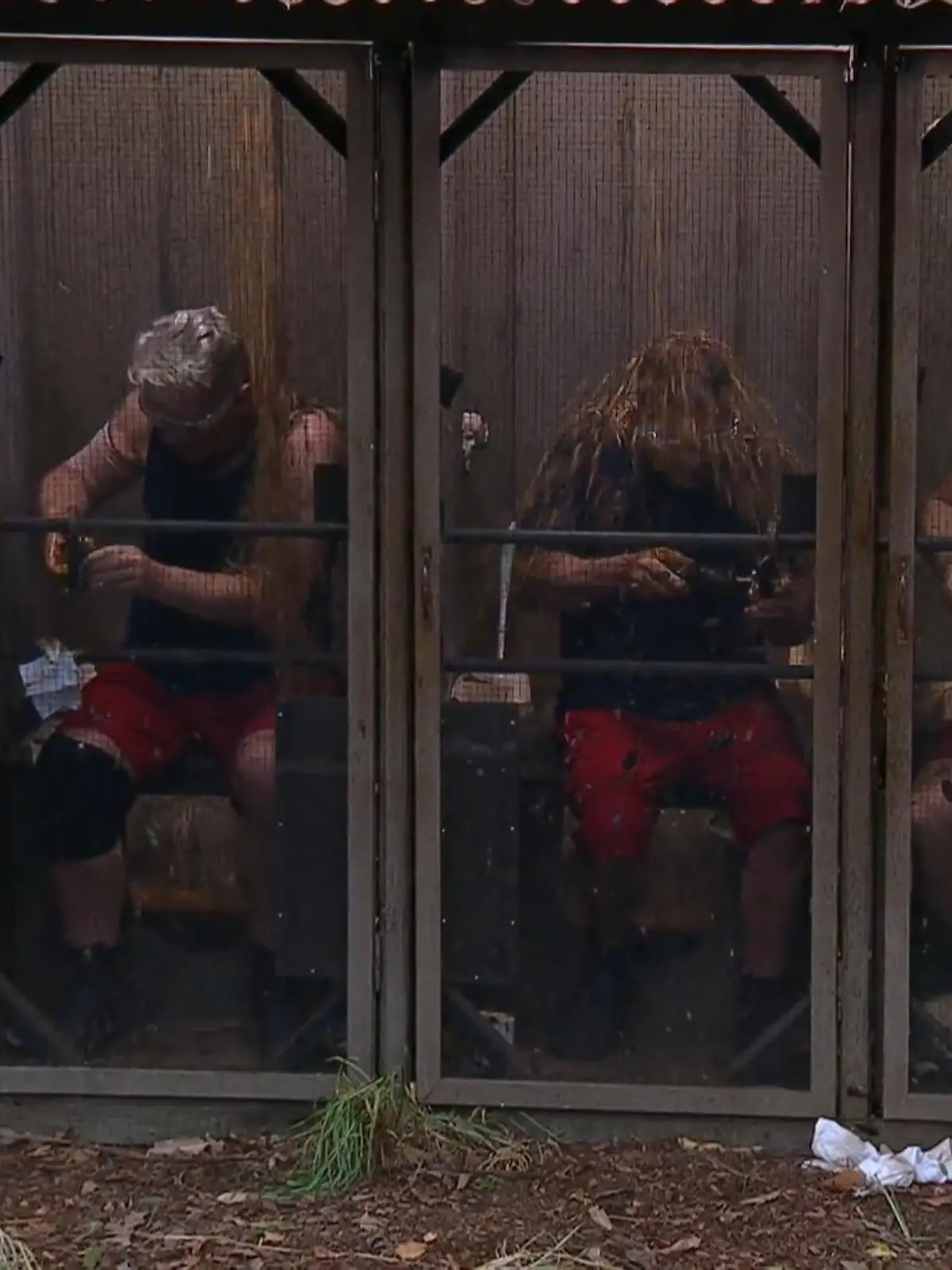 Simone, Hubert, Patrick, Hardy in der Dschungelprüfung