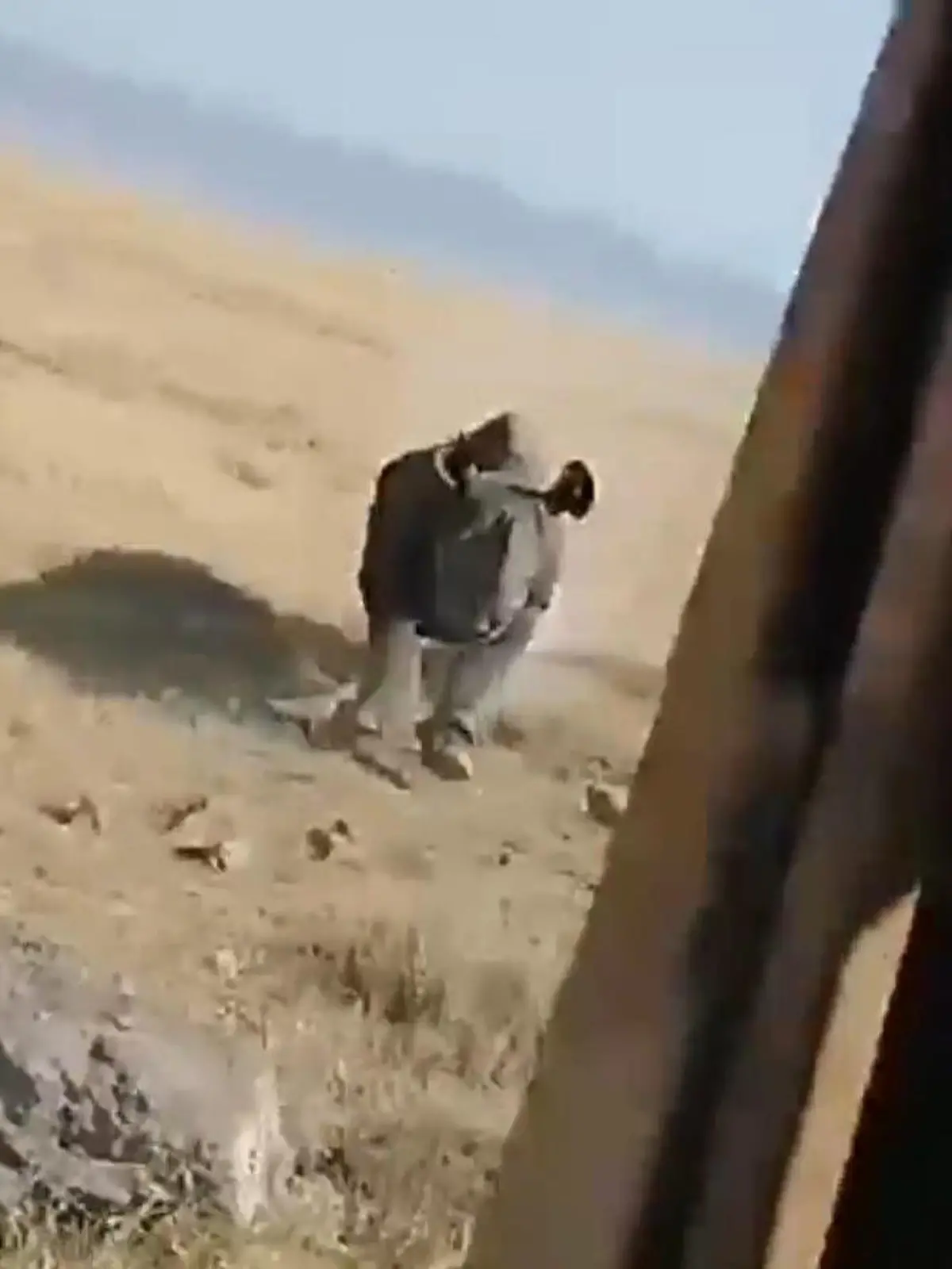 Bild zu: "Mit Horn voran! Rhino kracht in Safari-Jeep — Touristen gefangen "