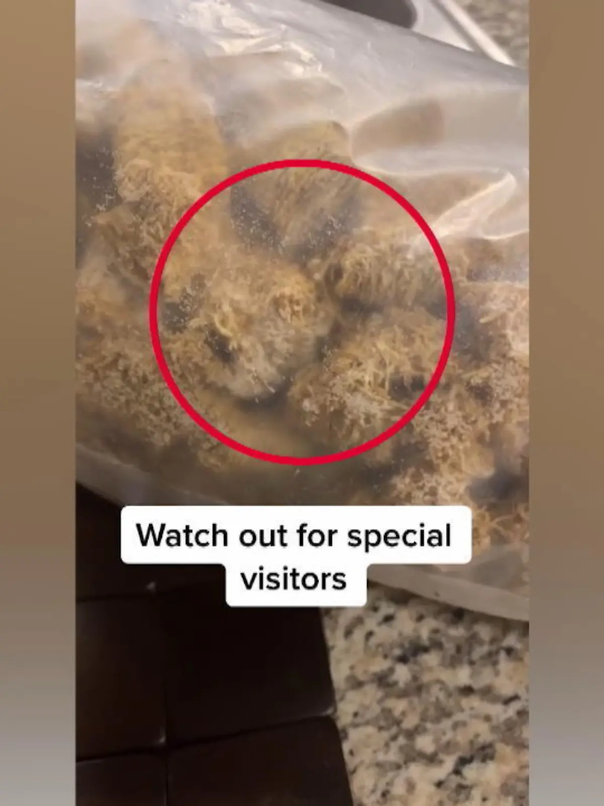 Bild zu: "Geräusche in Cornflakes-Packung"