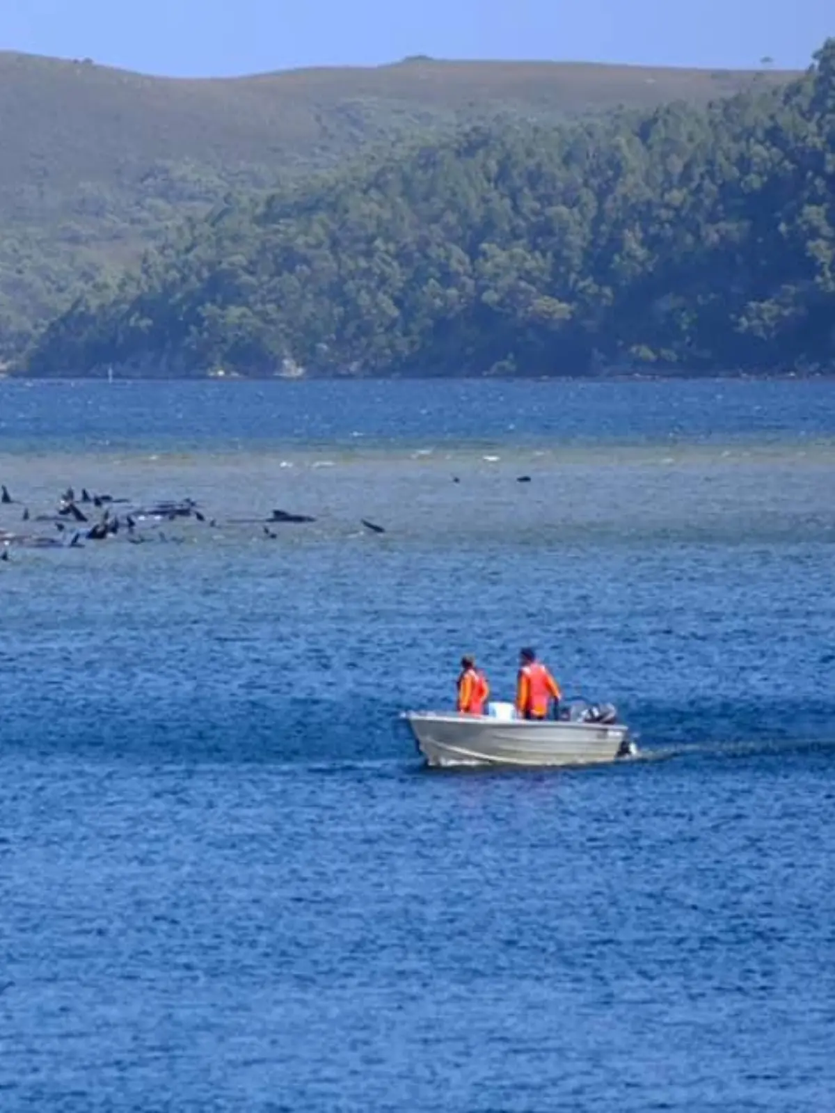 Bild zu: "Stundenlanger Kampf im Meer! Teenager (13) rettet seine Familie"