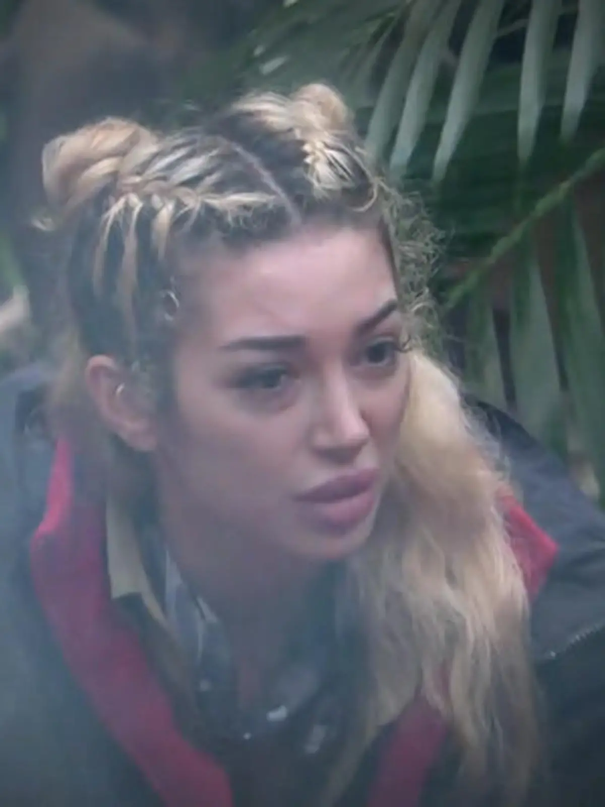 Bild zu: "Tag 11 im Dschungel: Auf der Suche nach der Wahrheit – Ariel lässt nicht locker"