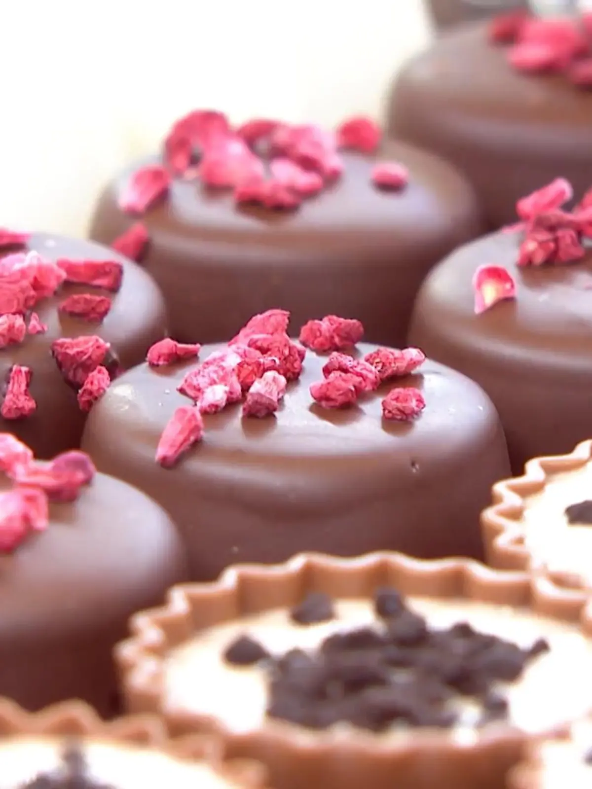 Bild zu: "Süßwarenmesse in Köln"