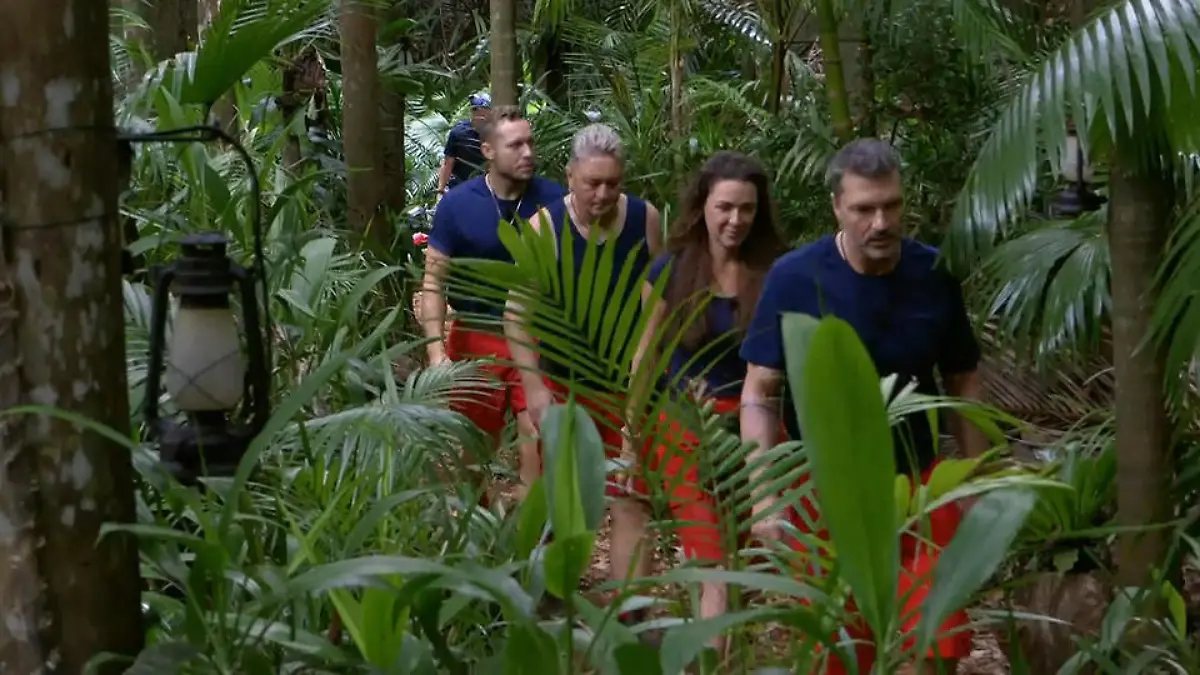 "Wie Gladiatoren in den Ring": Wer liefert ab – und wer bricht ein? Prüfung zu viert!