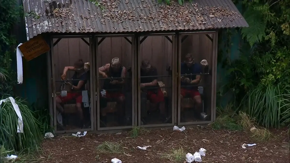 Die KLOreichen Vier haben in der Dschungelprüfung „verschissen”! „Die OWEH! C-Promis”