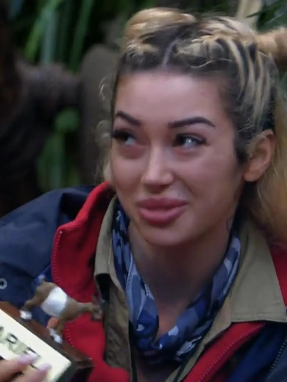 Bild zu: ""Das ist 'ne Unterstellung, du Idiot!" Meckerziege Ariel schießt gegen Fuchs Patrick"