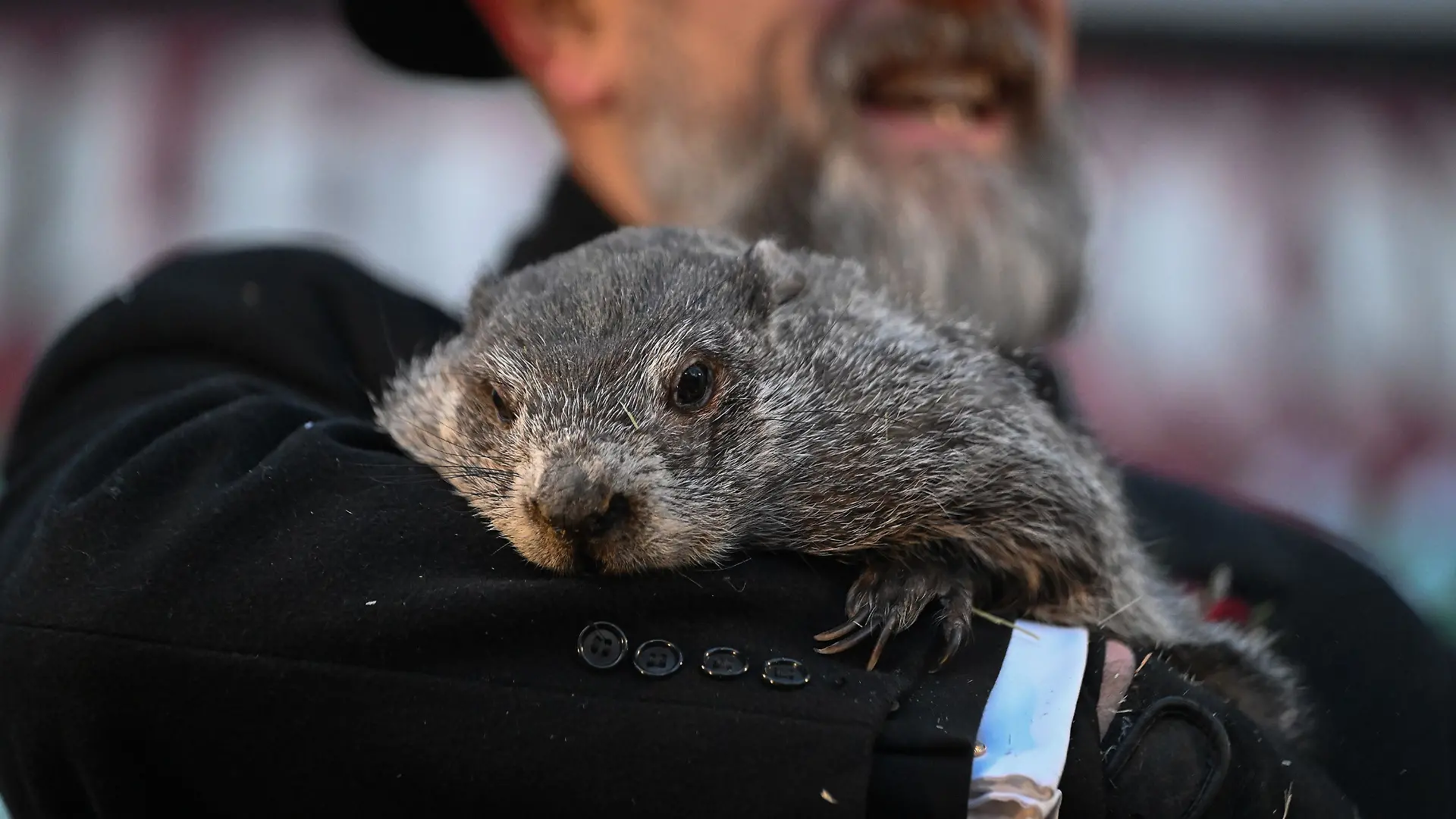 Groundhog Day.jpg