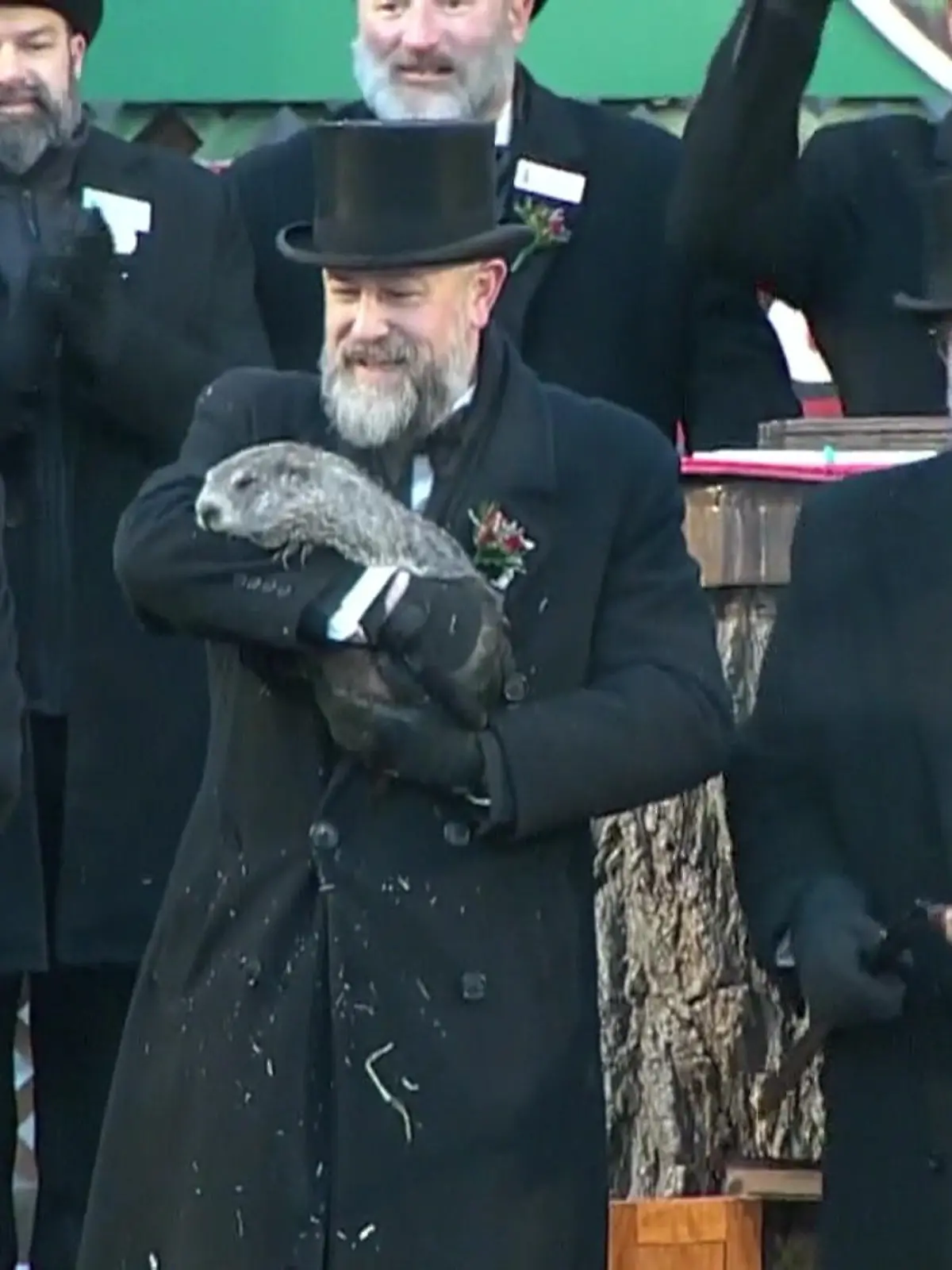 Bild zu: "Das Murmeltier hat gesprochen"