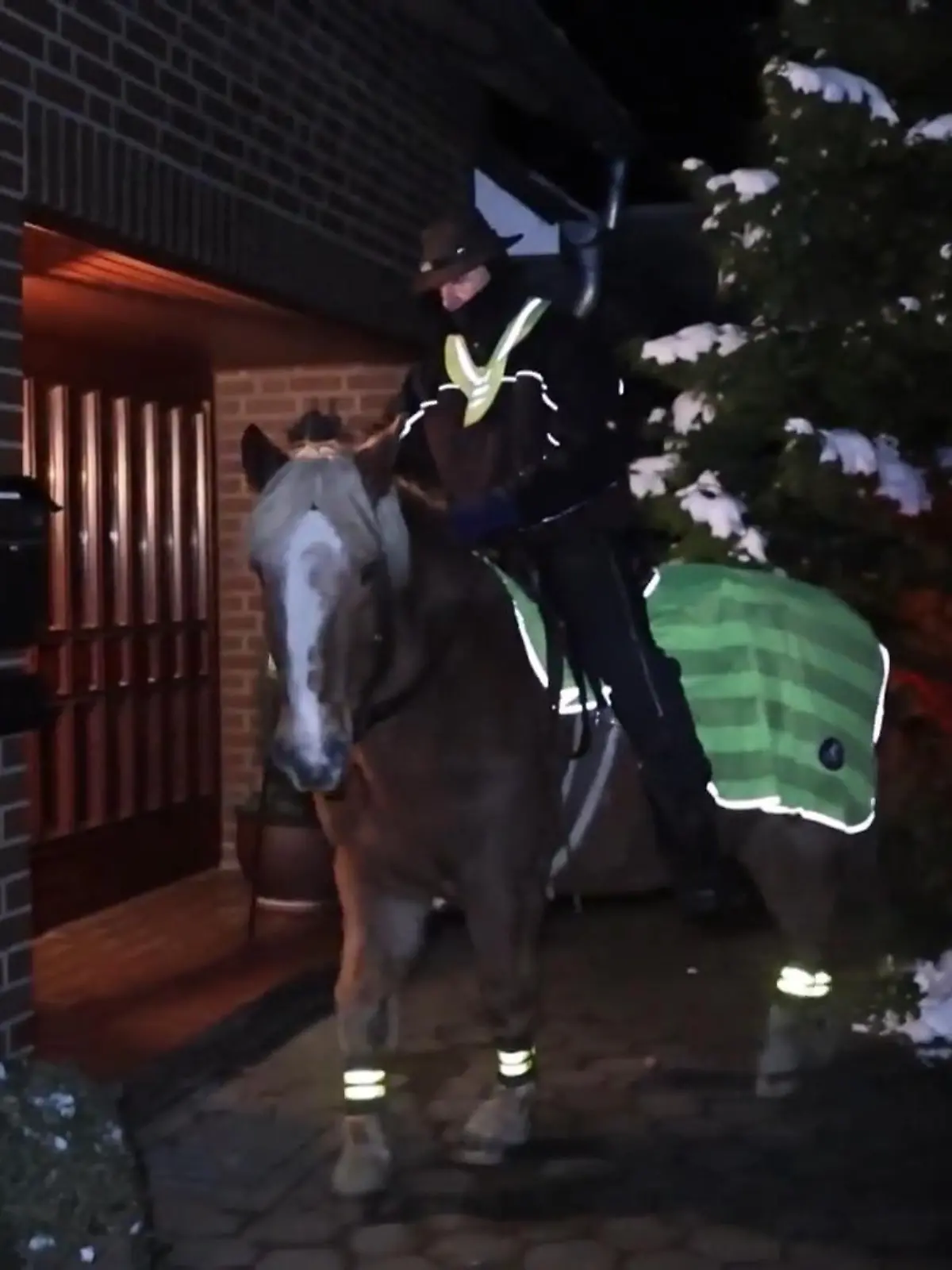 Bild zu: "Marcus Zaton liefert die Zeitung per Pferd"