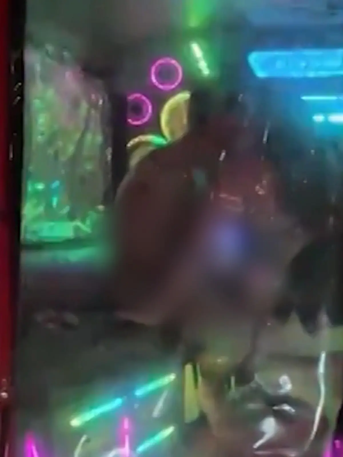 Bild zu: "Hier bumst’s im Straßenverkehr! Franzosen haben Dreier im TukTuk"