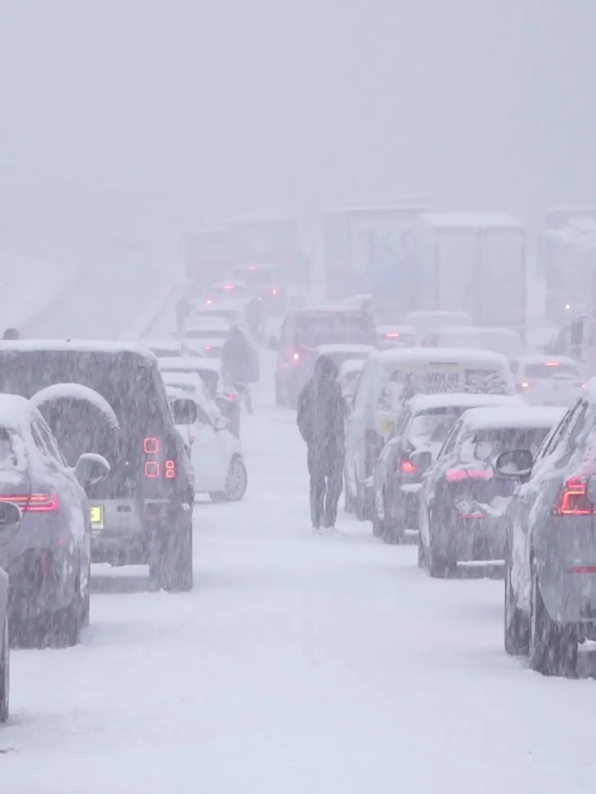 Bild zu: "Die Schneewalze rollt über Wiesbaden! Autobahnen und Nahverkehr stehen still"