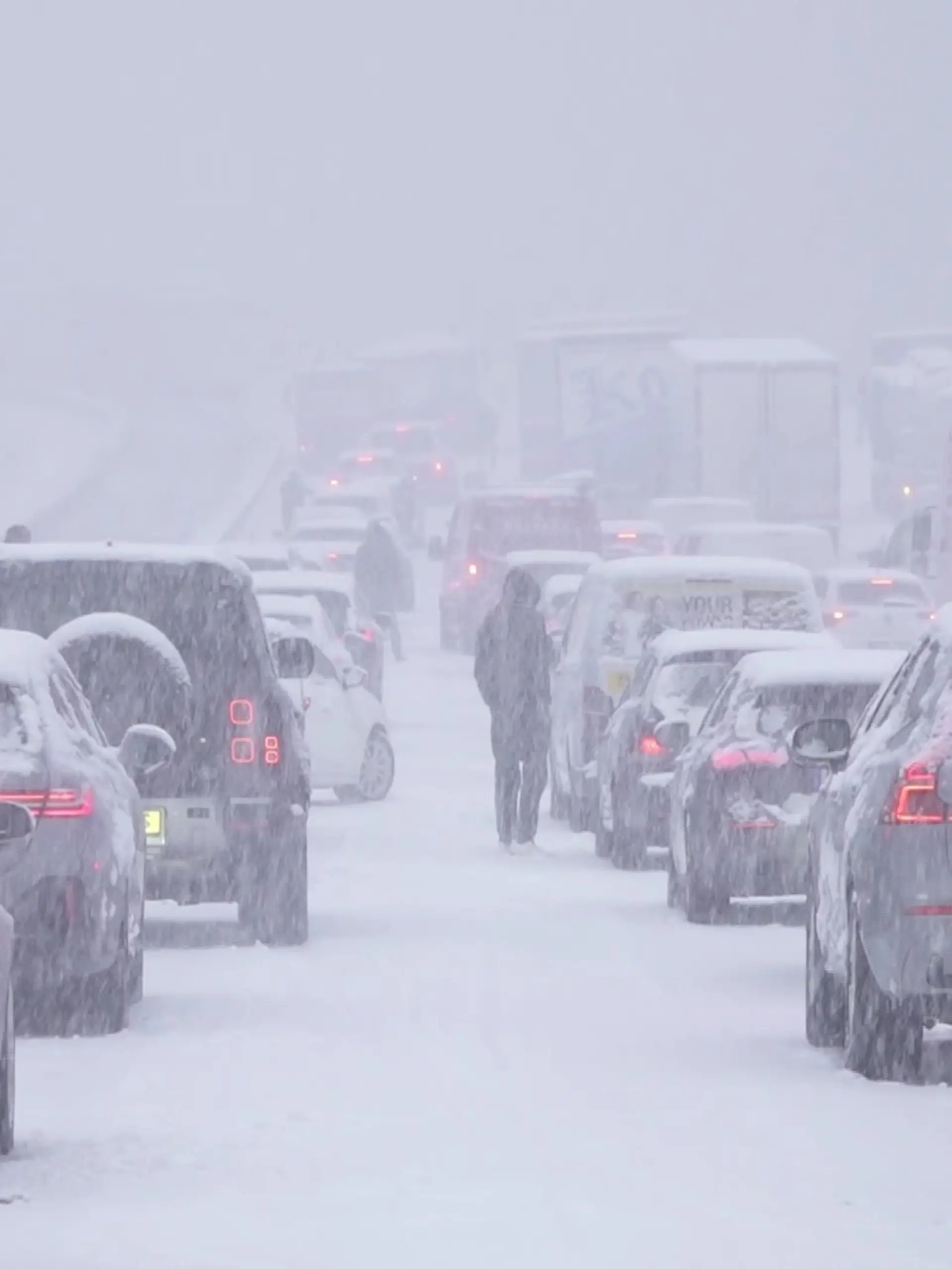 Bild zu: "Die Schneewalze rollt über Wiesbaden! Autobahnen und Nahverkehr stehen still"