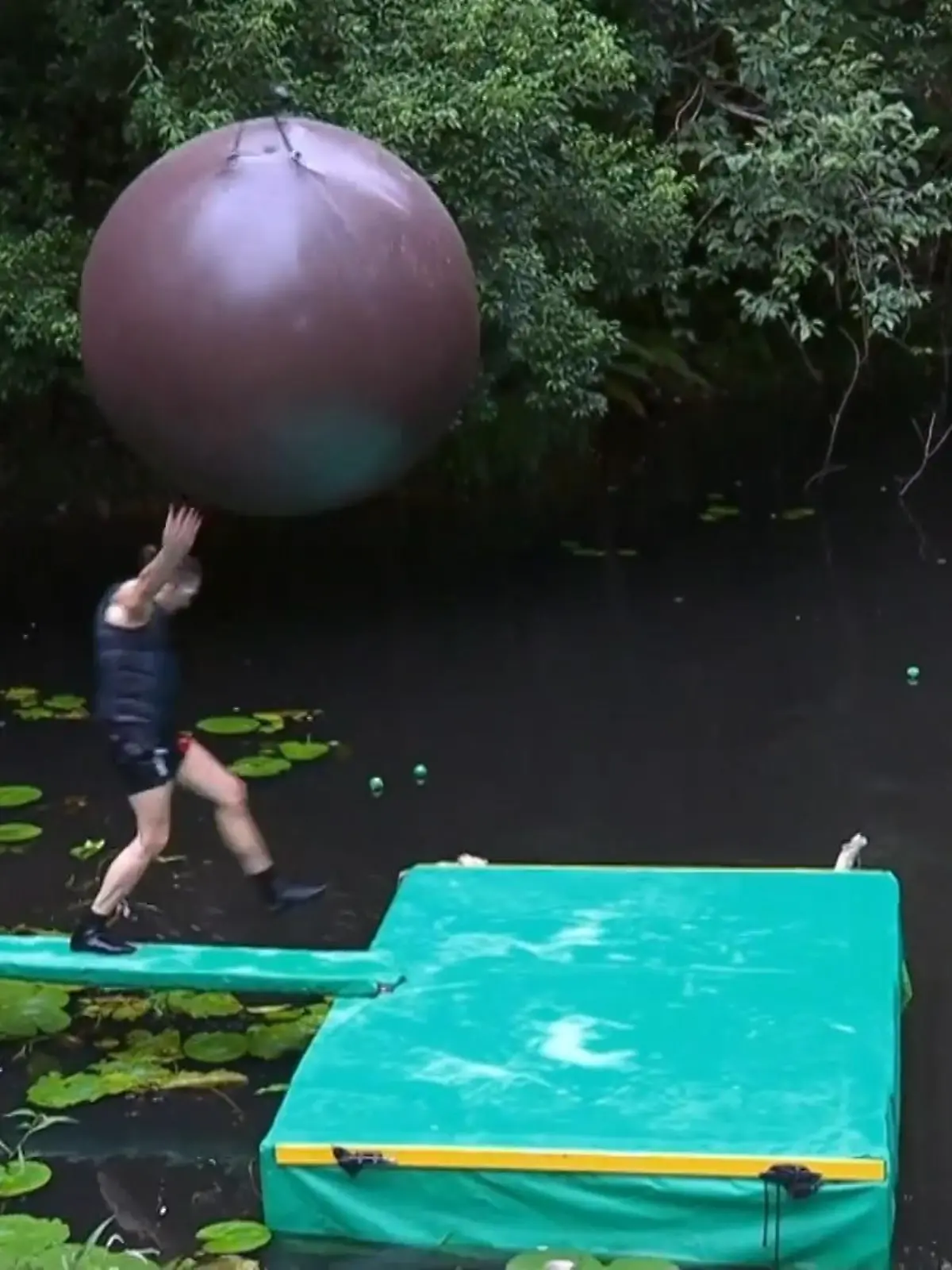 Bild zu: "Keine Sterne! Diese Prüfung endet mit dem Sturz von Gil Ofarim"