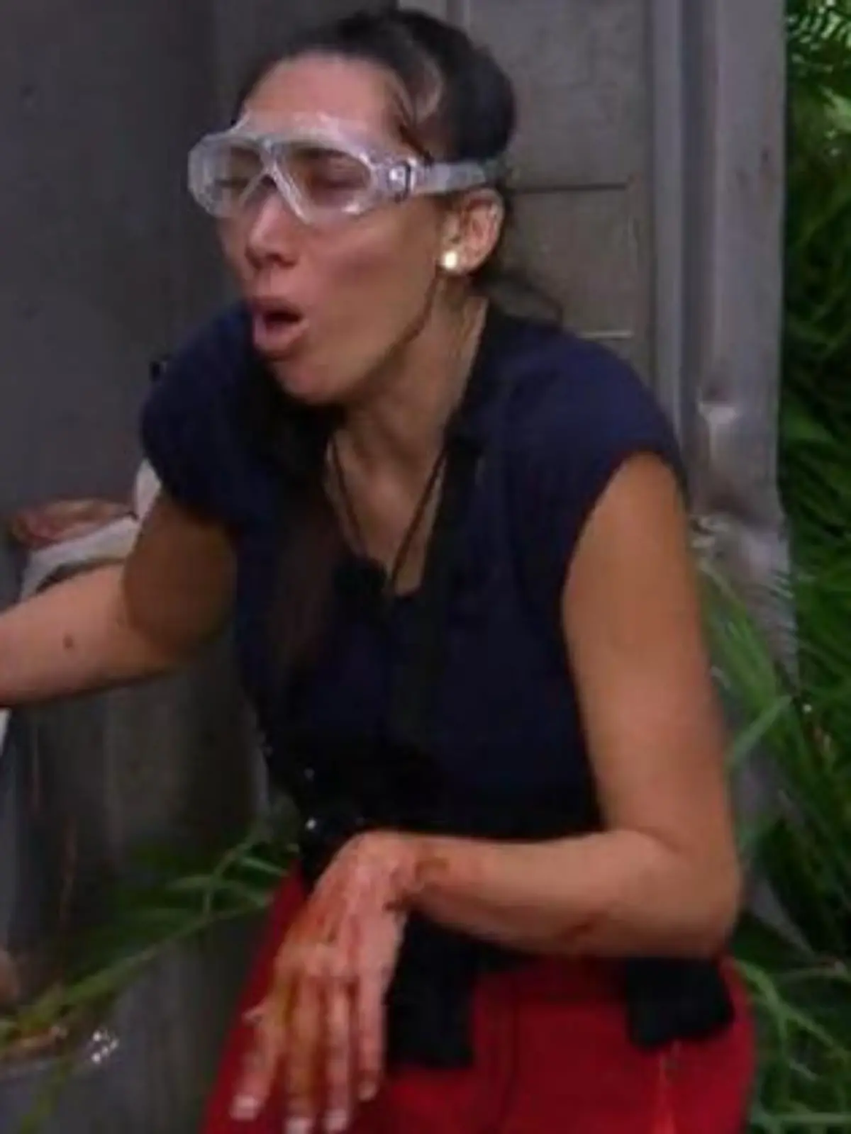 Bild zu: "Wer holt wie viel? Die Dschungelcamp-Stars auf Sternejagd!"