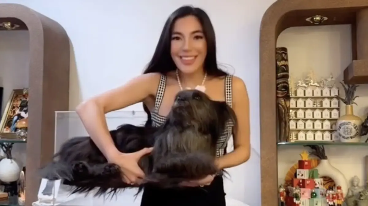 Influencerin Chloe Chung lässt ihren verstorbenen Hund gefriertrocknen und präsentiert ihn in einer Glasvitrine.