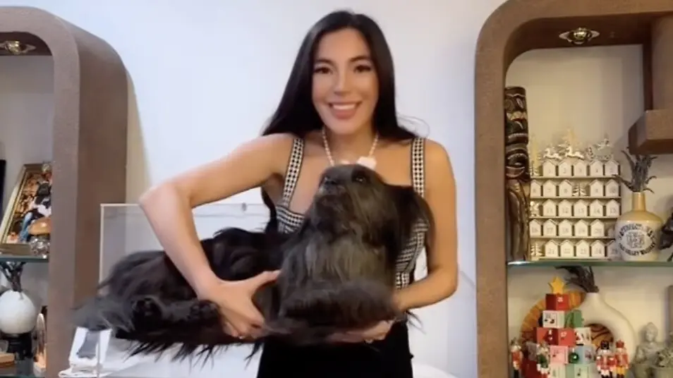 Influencerin-Chloe-Chung-l-sst-ihren-toten-Hund-einfrieren-und-stellt-ihn-aus