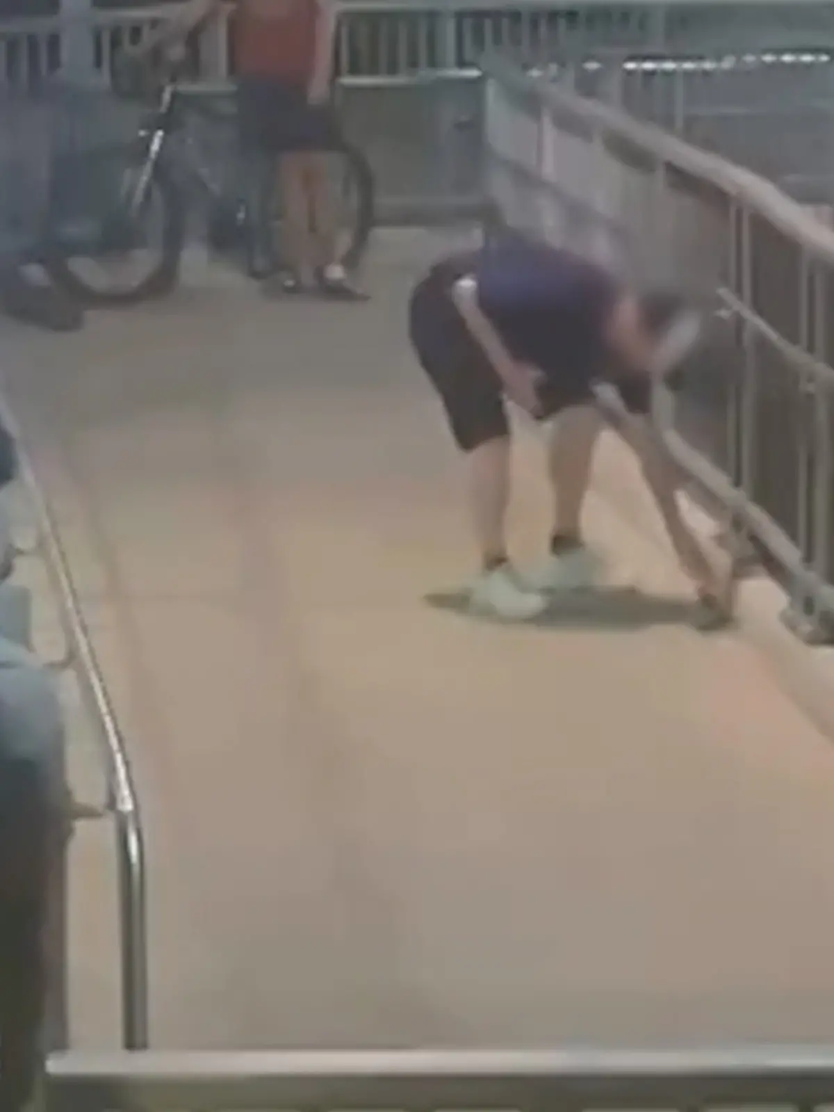 Bild zu: "Heldentat oder Leichtsinn? Giftschlange schockt Pendler - Mann packt einfach zu"