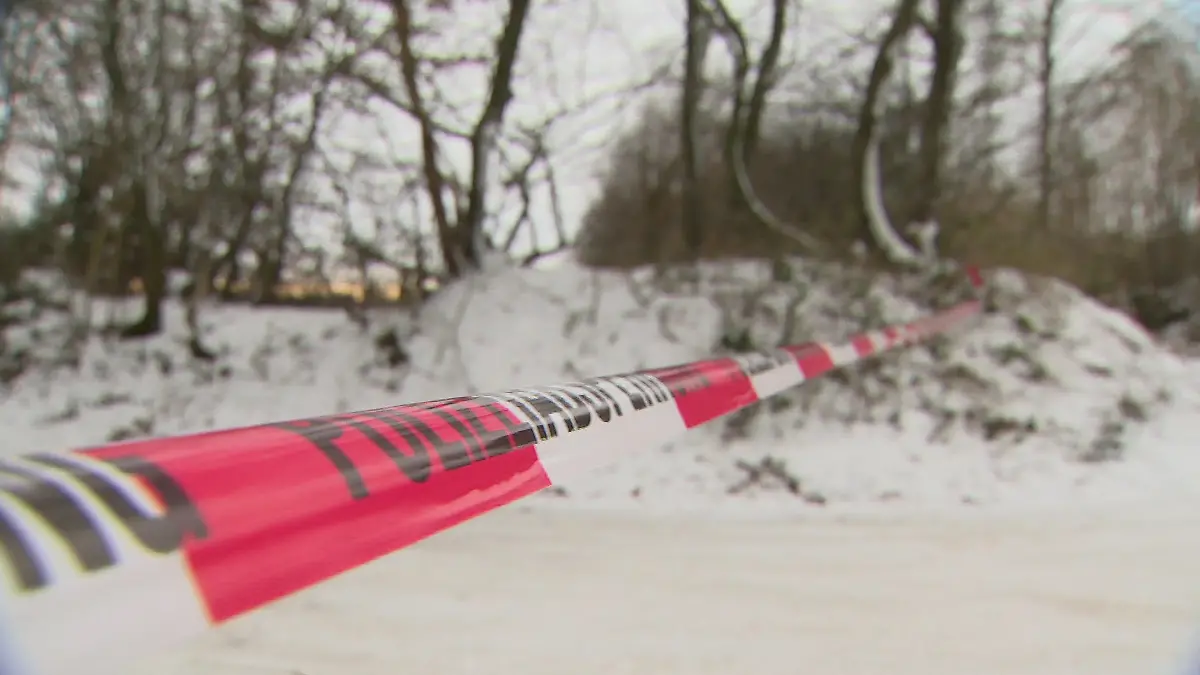 Spezialhunde suchen im Wattenbeker Gehege nach Spuren des vermissten Studenten.
