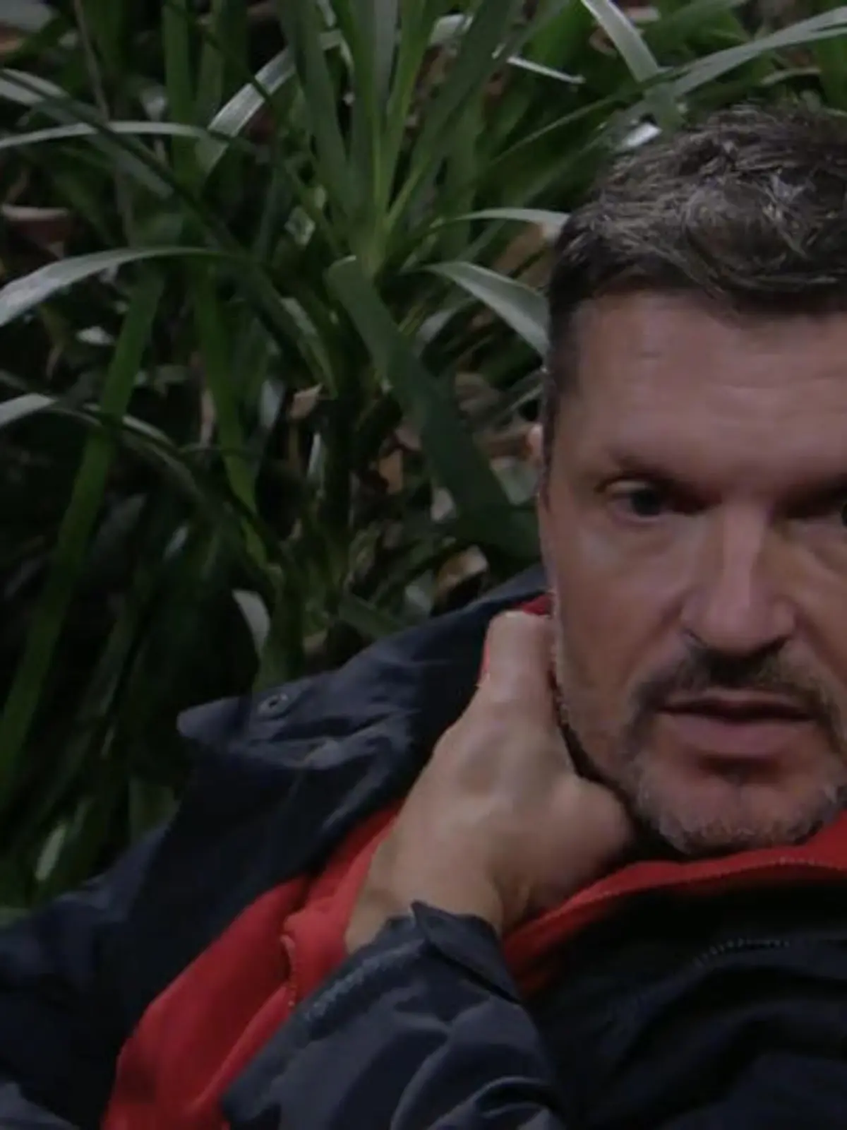 Bild zu: ""Abgefahrene Abzocke": Hardy packt aus – so gewinnt man den Dschungel"