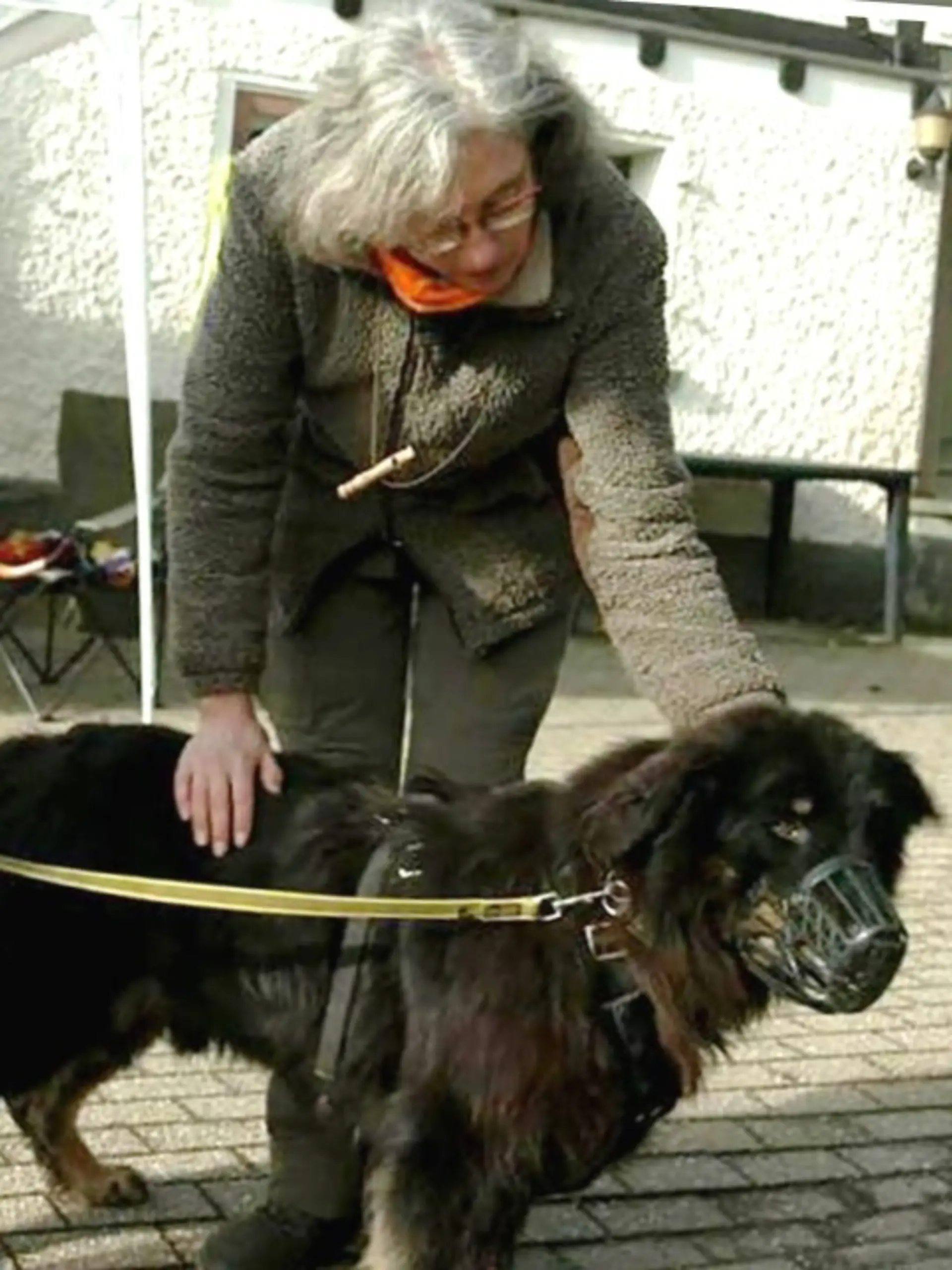 „Die Unvermittelbaren”: Rüde Maddox hatte bei Tierärztin Manuela ein liebevolles Zuhause gefunden.